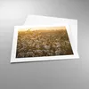 Poster - Poster ohne Rahmen - Baumwolle Feld Acker - 50x40 Produktbild-Vorschau 3