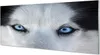Glasbilder 125x50 Wandkunst Wolf Augen Produktbild-Vorschau 1