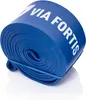 VIA FORTIS Premium Resistance Band + Übungsanleitung und Produktbild-Vorschau 1