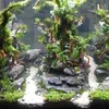 Legno per acquario Red Moor decorazione naturale, rami Anteprima dell’immagine prodotto 9