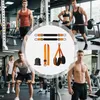 Collage of people in a gym using workout equipment, with product shots of resistance bands and straps. Anteprima dell’immagine prodotto