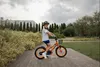 Bicicletta Per Bambini 16 Pollici Per Ragazzi + Cestino E Anteprima dell’immagine prodotto 18