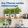 Maximex Selbstbewässernde Pflanztöpfe, 15-teiliges Set, Produktbild-Vorschau 3