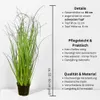 Kunstpflanze Gras, GRASBUSCH IM TOPF. Ca. 60cm. OHNE Produktbild-Vorschau 3