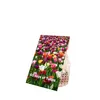 Bloomique - Mélange de Tulipes 20 - 60 jours - Bulbes de Voir les images du produit 2