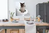 MuchoWow® Poster Eine birmanische Katze sitzt auf der Produktbild-Vorschau 3