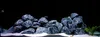 Sable pour aquarium, sable de quartz 0,5-1 mm, gris, 16 kg Voir les images du produit 9
