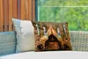 MuchoWow® Outdoor Kissen - Weihnachten - Krippe - 50x30 cm Produktbild-Vorschau 3