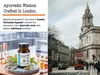 DR WAKDE'S Kardamom-Kapseln | 60 Vegi Caps | Produktbild-Vorschau 10
