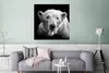 MuchoWow® Poster Eisbär - Tier - Schwarz - Weiß 75x75 cm - Produktbild-Vorschau 5