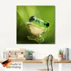 ARTland Glasbild Ausspähender Frosch Größe: 30x30 cm Produktbild-Vorschau 5