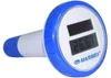 MARIMEX Drijvende digitale thermometer 10963012 Productafbeelding-voorbeeld 1