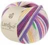 Lana Grossa Landlust DIE SOCKENWOLLE 100 g 4-fach Produktbild-Vorschau 1