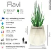 Monumo®️ Leuchtender Blumentopf Groß 54 x 47 x 47 cm Produktbild-Vorschau 2