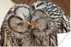MuchoWow® Poster Eulen - Vögel - Schnabel - Familie 30x20 Produktbild-Vorschau 1