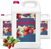 Bioethanol 96,6% 15L |  Alkohol Walderdbeerduft 96,6% 3x5L Produktbild-Vorschau 1