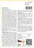 SAFLAX - dračí strom - Dracaena Draco - 5 Semena - S Náhled obrázku produktu 3