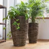 2 kefky kokosové vetvy 45+55cm - kvetináč Náhľad obrázku produktu 7