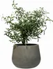 Vaso da fiori GIRAR in fibra di vetro, grigio Vesuvio, Anteprima dell’immagine prodotto 5