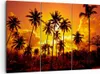 Bild auf Leinwand - Leinwandbild - Palmen Bäume Sonne - Produktbild-Vorschau 1