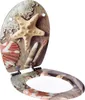 A toilet seat with a beach-themed design, featuring seashells and starfish, is shown open against a white background. Produktbild-Vorschau