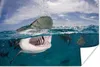 MuchoWow® Poster Hai oberhalb der Wasseroberfläche 60x40 cm Produktbild-Vorschau 1