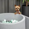 A Yorkshire Terrier dog peeking over the edge of a light gray ball pit filled with white and mint green balls. Produktbild-Vorschau