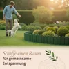 Floranica Beetumrandung Beeteinfassung 10 x 200 cm Grün Produktbild-Vorschau 6