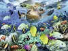 Unterwasserparadies Ravensburger 10009 Produktbild-Vorschau 2