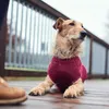 Dres pro psa Hunter Malmö Burgundská červená Náhled obrázku produktu 4