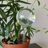 Kulki nawadniające - 8 szt. Gardłowa 21043 Podgląd zdjęcia produktu 8