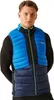 Regatta - "Leedre" Weste Hybrid für Herren RG11151 (3XL) Produktbild-Vorschau 3
