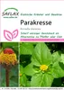 Artikelbild 1 von 'Parakresse' aus der Kategorie Kressesamen Voir les images du produit