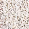 Żwir akwariowy, dolomit 1–4 mm, biały, 2 kg Podgląd zdjęcia produktu 3