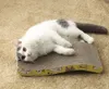 A white and gray cat is lying on a cardboard scratching pad on a carpeted floor. Voir les images du produit