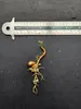 Entawak (Artocarpus anisophyllus) - 1 seme germogliato Anteprima dell’immagine prodotto 6