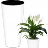 A white planter and a peace lily plant are shown against a white background. Anteprima dell’immagine prodotto