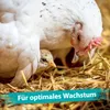 IdaPlus Mineral Grit Mix 5kg Produktbild-Vorschau 7