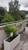 Elegant Einrichten | Pflanzkübel | Fiberglas | rechteckig | Produktbild-Vorschau 3