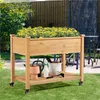 A wooden raised garden bed filled with yellow flowers, placed on a grassy lawn in a backyard setting. Gardening tools and containers are visible on a lower shelf. Podgląd zdjęcia produktu