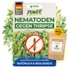 Green Guardia Nematoden gegen Thripse – 6 Mio. - Effektiv Produktbild-Vorschau 1