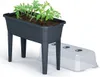A dark grey raised planter with several young tomato plants growing in it, next to a clear plastic dome with ventilation holes. Produktbild-Vorschau