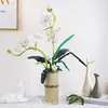Stavebnice COIL play, kvety z kociek, phalaenopsis, Náhľad obrázku produktu 3