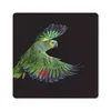 MuchoWow® Mauspad Mousepad Nahaufnahme bunter Papagei 20x20 Produktbild-Vorschau 1