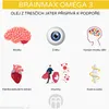 BrainMax Omega 3, Olio di fegato di merluzzo, limone, 240 Anteprima dell’immagine prodotto 4