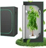 QEENTOE Groeitent, 80x80x160 cm, kweekkast voor groenten en Productafbeelding-voorbeeld 1