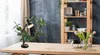 Stolná lampa Famous black E27 Náhľad obrázku produktu 2