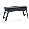 vidaXL Barbecue da campeggio portatile 60×22,5×33 cm Anteprima dell’immagine prodotto 9