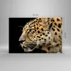 Bilder auf glas - Tiere Leopard wilde Katze wilde Tiere - Produktbild-Vorschau 3