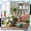 EDIBAZZAR | Jutestruik, groen, natuurlijke kleur, Productafbeelding-voorbeeld 11